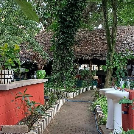 Ibrahim Garden Hostel อารูชา ภายนอก รูปภาพ