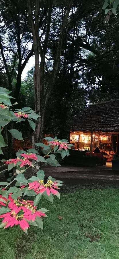 Ibrahim Garden Hostel อารูชา ภายนอก รูปภาพ